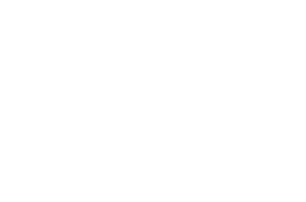 fplus-brom2