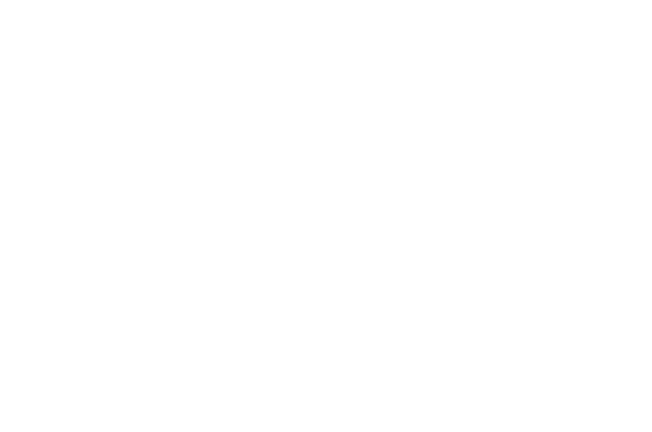 logo yadro