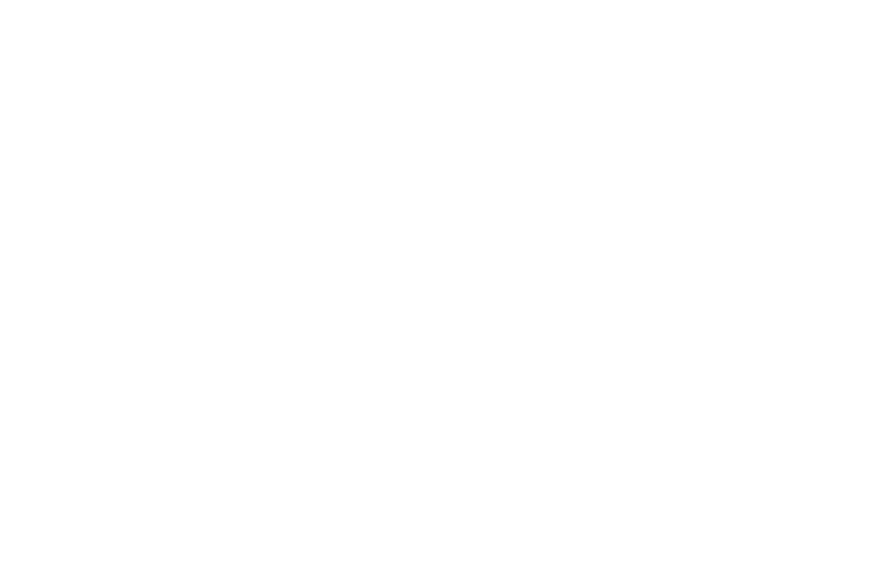 Logo_AQ-white3